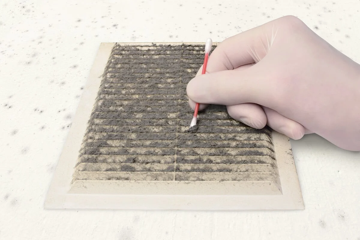 Direct Mold Surface Swab and Bio-Tape Lift Kit with TDLR Lab #1050 Analysis