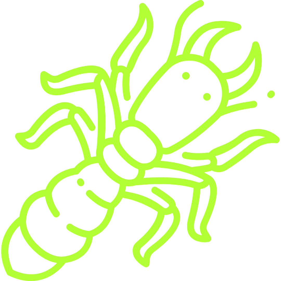 Wood Destroying Insect Termite Diagnostics Icon